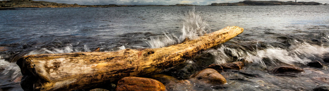 Que faire avec du bois flotté