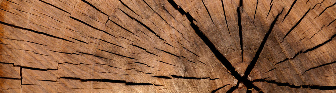 Quel bois est toxique