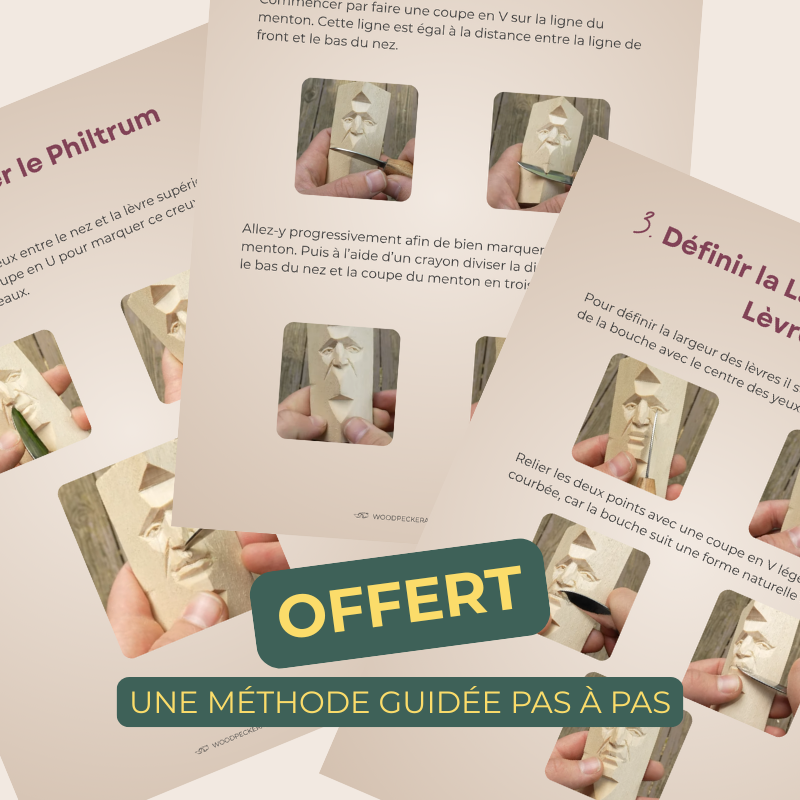 Coffret Création Totale – Sculptez vos premières œuvres en bois, pas à pas